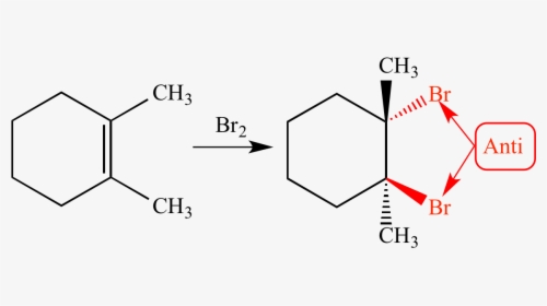 "  Src="anti Addition01 - 1 2 Dimethylcyclohexene Br2, HD Png Download, Free Download